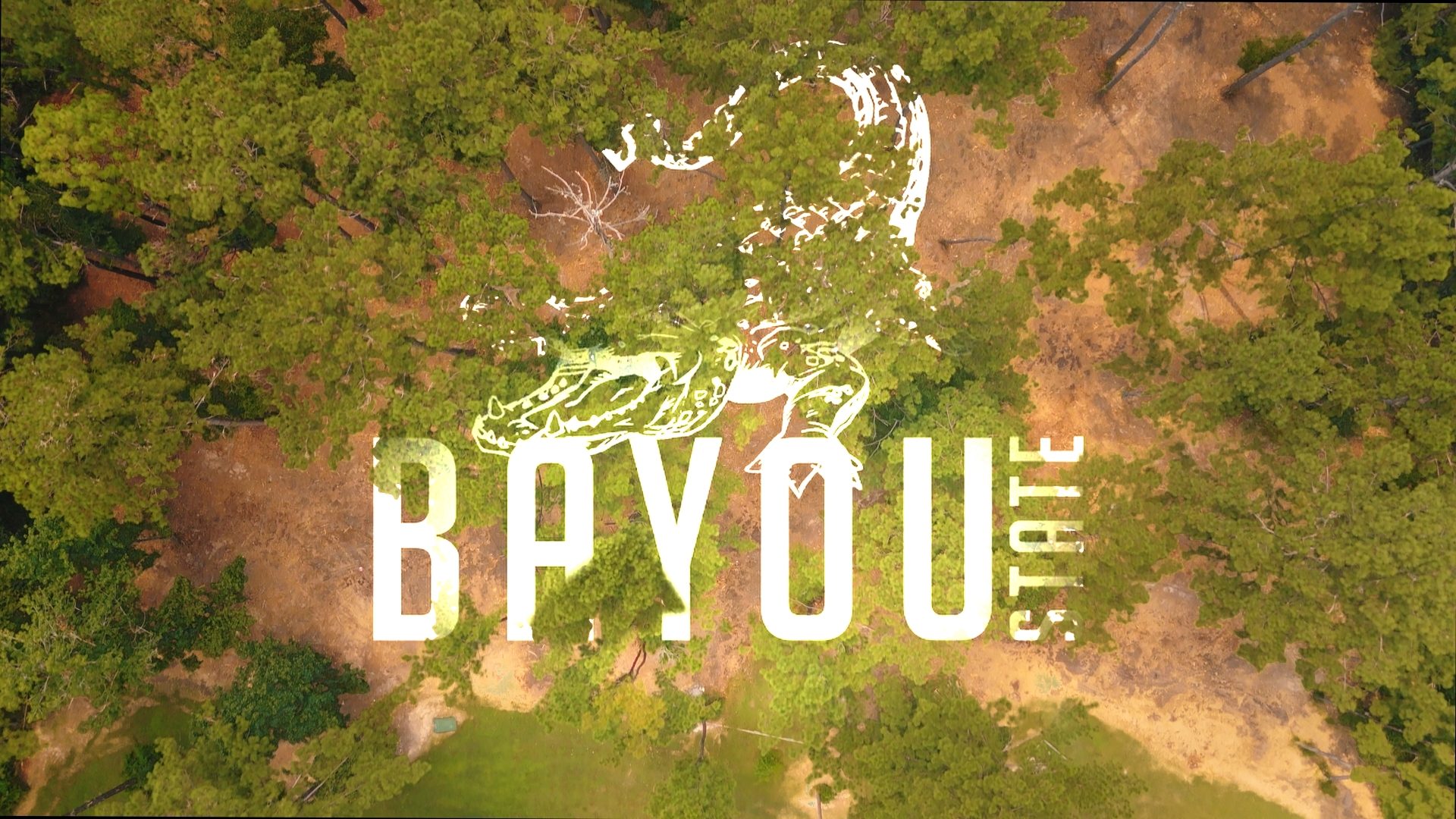 Aerial view of a partially cleared wooded tract with the Bayou State alligator wordmark overlaid