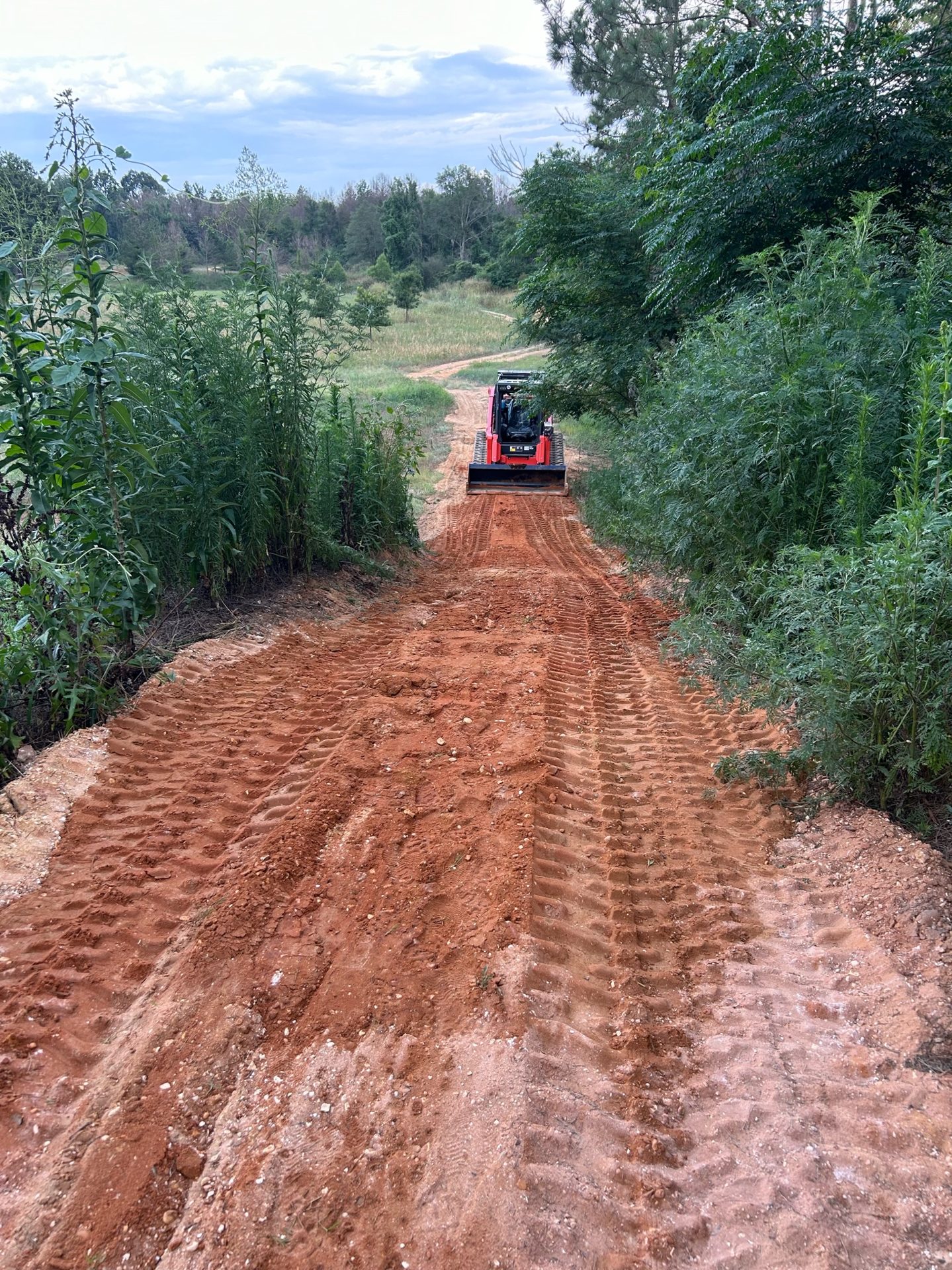 Aerial view of a freshly graded dirt drive cut through wooded Louisiana property