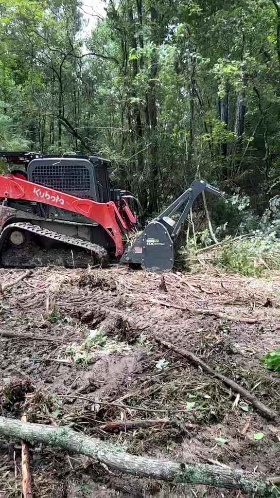 Tracked mulcher cutting brush in dense woods