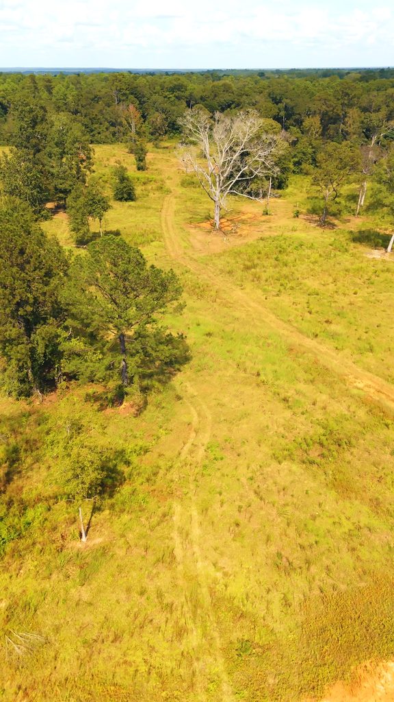 Aerial view of a cleared homesite in an open field
