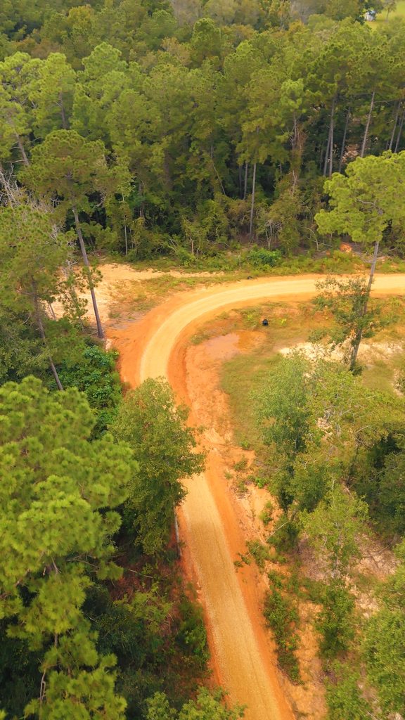 Aerial view of a curving dirt road through standing timber