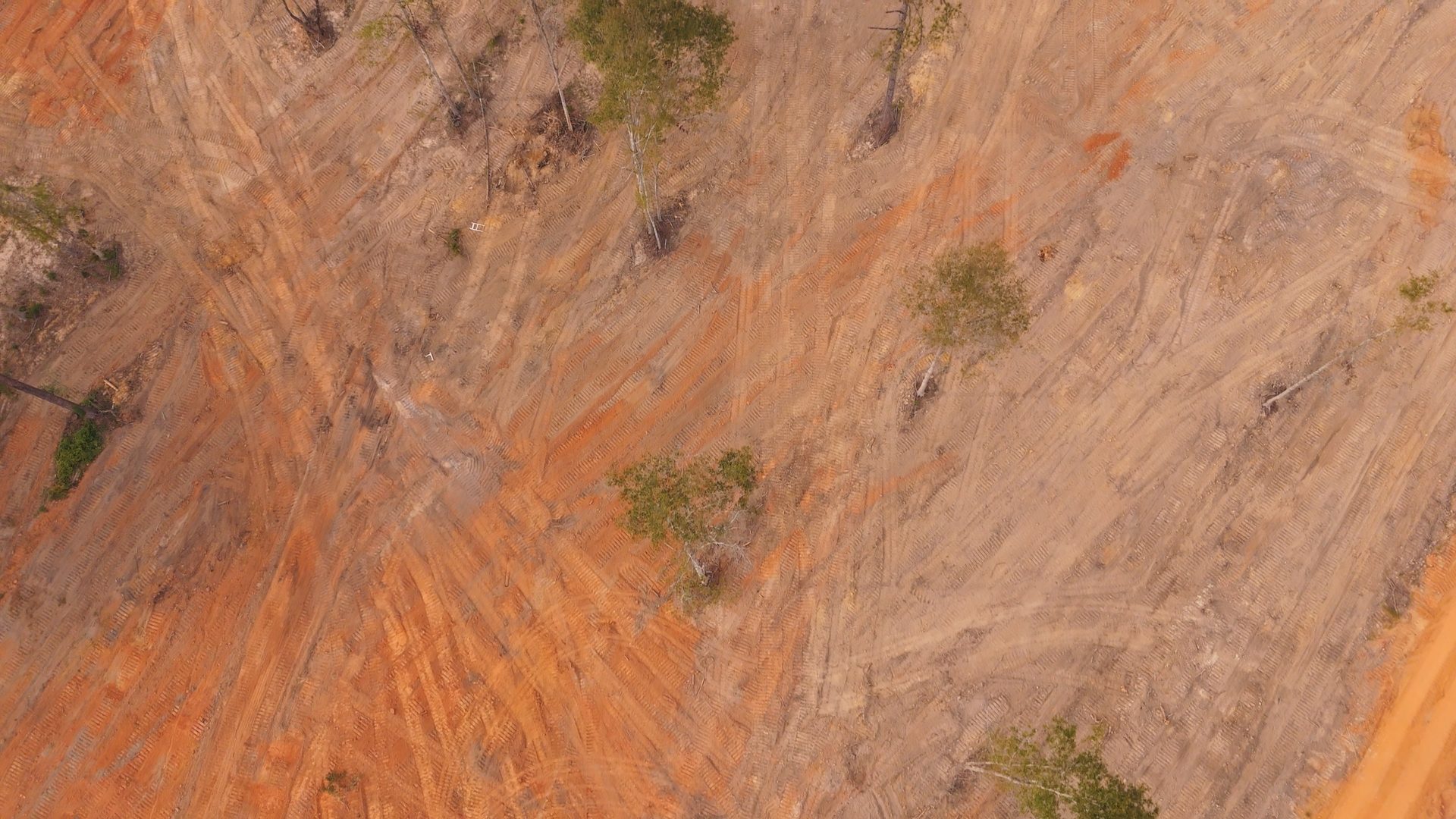 Aerial view of freshly mulched ground after brush clearing